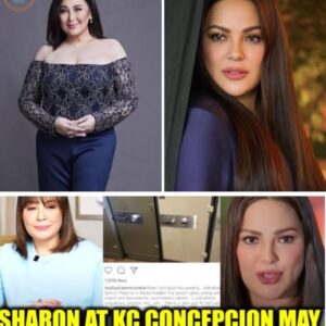 Importanteng Gamit Na Nawala Ang Bagong Dahilan Ng Isyu Ni Sharon Cuneta at Kc Concepcion!