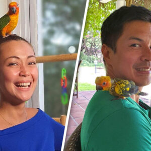 Hot News: Jodi and Raymart’s recent public moment has fans reeling—could this be the hint of a brewing romance no one saw coming?