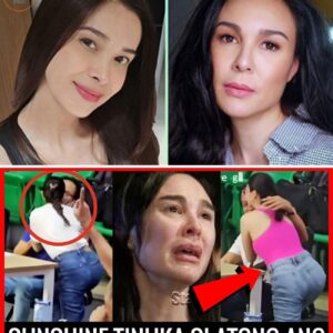 Gretchen Barretto NAGSALITA NA sa HIWALAYAN ni Sunshine Cruz at Atong Ang!…..