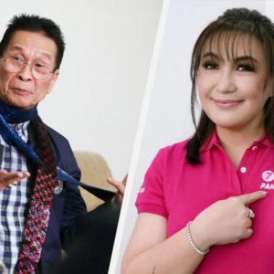 Sharon Cuneta Faces Backlash After Disregarding Appeals and Continuing to Perform Megastar’s Hit