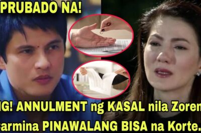 LAGOT NA! Zoren Legaspi NAGFILE ng ANNULMENT kay Carmina Villaroel dahil sa PANGAGAMIT nito! (NG)