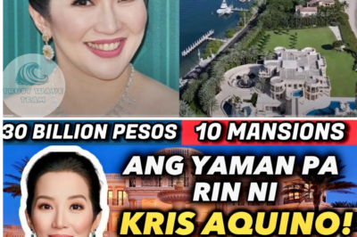 VIRAL VIDEO: Kris Aquino’s Wealth Exposed: Her Multi-Billion Peso Empire Revealed in a Shocking Viral Video, Leaving the Public in Awe. /LO