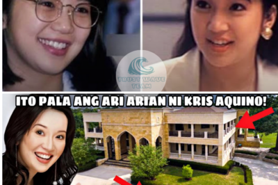 So It Turns Out! The HEIR of Kris Aquino Revealed | Here’s What Her Wealth and Assets Really Are! Wow! /LO