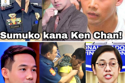 Ken Chan Shocks the Public with Bold Statement, Bravely Facing the Controversial Actor Case Head-On! /lo