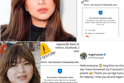 Detalye sa pag-hack ng account ni Angel Locsin at kalagayan ng actress ngayon