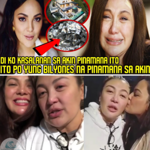 KC Concepcion REVEALS the BILLIONS and PROPERTIES INHERITED by her, which SHARON is trying to divide!/lo