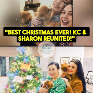 The Concepcion-Cuneta Christmas Reunion: A Happy Ending?