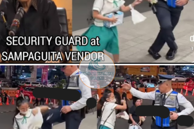 Celebrities React to Security Guard’s Brutal Kick to Young Sampaguita Vendor