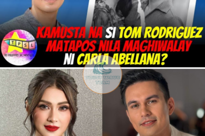 Tom Rodriguez, may ‘suicidal thoughts’ kasunod sang ila pagbulagay ni Carla Abellana