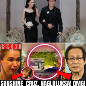 SHOCKING! SUNSHINE CRUZ IN MOURNING! THIS IS WHAT HAPPENED TO ATONG! FIND OUT THE FULL DETAILS!