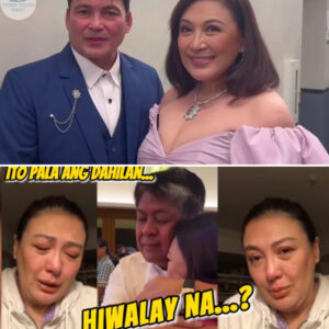 SHOCK: The truth behind the breakup of SHARON CUNETA AND KIKO PANGILINAN, a love triangle from Gabby Concepcion revealed by short VIDEO! (NG)