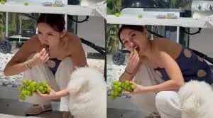 Kathryn Bernardo Devoured 12 Grapes Under The Table—Is She Seeking Love or Simply Chasing Luck?