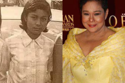 Nora Aunor’s Unforgettable Journey to Becoming a National Artist: Why PNoy’s Rejection Still Doesn’t Make Sense (AL)