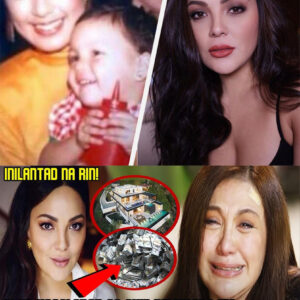 KC Concepcion REVEALS the BILLIONS and PROPERTIES INHERITED by her, which SHARON is trying to divide! (NG)