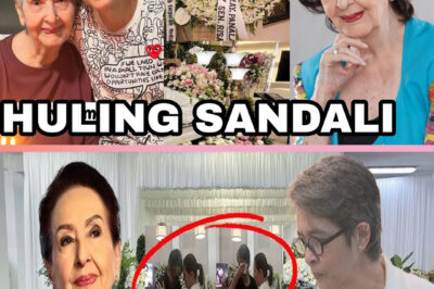 TOTOONG DAHILAN ng PAGPANAW ni GLORIA ROMERO ANAK NAGSALITA NA!(DG)