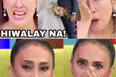 AI AI DELAS ALAS WASAK ang PUSO HIWALAY NA KAY GERALD SIBAYAN(DG)