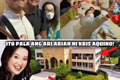 Is Kris Aquino This Rich? This Is What She Has! The Mysterious Heiress Is Finally Revealed!