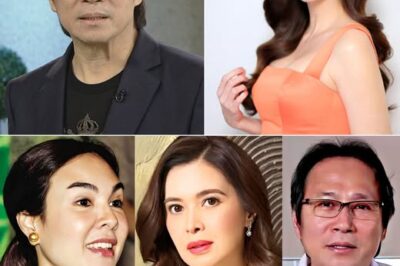 BREAKING NEWS: Gretchen Barretto HAS ALREADY SPOKE OUT on Sunshine Cruz and Atong Ang’s SEPARATION! (NG)