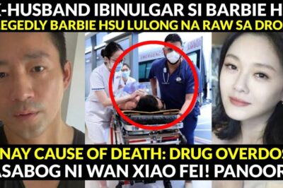 Ex-HUSBAND ni Barbie Hsu ISINIWALAT ang Tunay na CAUSE OF DEATH ni Barbie Hsu? Wan XiaoFei Nagsalita (NG)