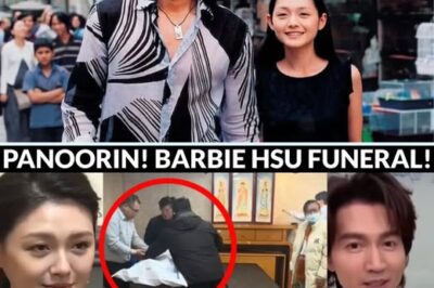 Nabunyag na ang katotohanan sa sanhi ng pagkamatay ni Barbie Hsu, Taiwanese Star ng Meteor Garden, kasinungalingan lamang ang pneumonia at trangkaso… (NG)