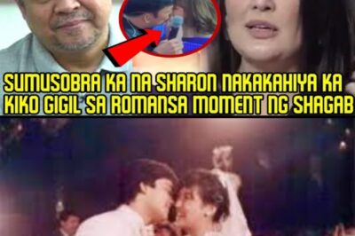 OMG! Sharon Cuneta Confesses! She Still Loves Gabby Concepcion, Even After Marrying Kiko!