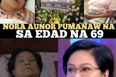 “Guilty Until Proven Innocent”: Fans Shocked as Nora Aunor Reveals People Who Allegedly Destroyed Her Life – The Names Will Shock You! 😢 (NG)