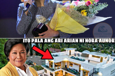 So it’s them! The HEIR of Nora Aunor | This is their property! Wow, they’re incredibly wealthy!(DG)