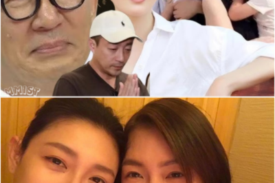 Who will inherit Barbie Hsu’s multi-million dollar estate after her passing at 49?