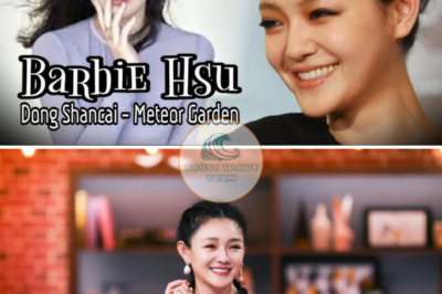 The truth about the cause of d*@th of Barbie Hsu, Taiwanese Star of Meteor Garden, has been revealed, pneumonia and flu were just lies…