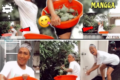 SHOCKING VIDEO: Vice Ganda climbs a mango tree! Ion Perez can’t stop being amazed! /lo