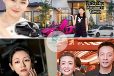 Barbie Hsu has not yet “rested in peace”, her ex-husband is plotting to “hunt” her assets, shocking reason?