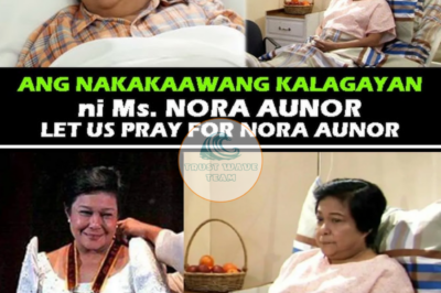 ANG NAKAKAAWANG KALAGAYAN NA NGAYON ni Ms Nora Aunor, inalalayan ng oxygen si Nora Aunor dahil sa problema sa paghinga