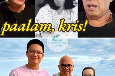 Kris Aquino Cried Because of His Last Will and Love for Boy Abunda and Ai-AI Delas Alas. The whole country cried when they saw these images…