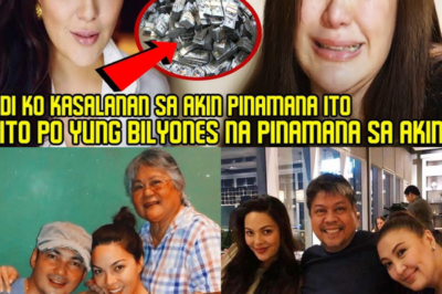 KC Concepcion REVEALS the BILLIONS and PROPERTIES INHERITED by Her, Which SHARON is Trying to Divide!