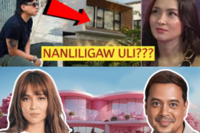 10 Pinakamagandang Bahay ng mga Artista sa Pilipinas