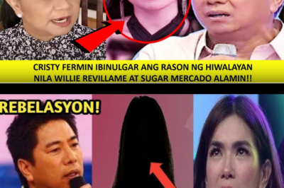 DAHILAN sa HIWALAYAN nina SUGAR Mercado at KUYA WILL, IBINUNYAG CRISTY Fermin!