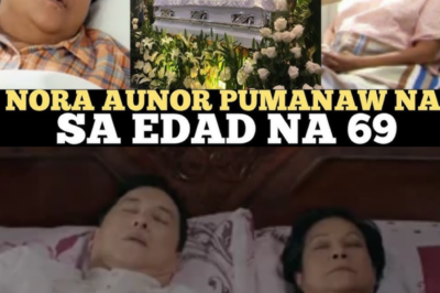 SHOCK: Nora Aunor Facing Poor and Critical Health, Needs Oxygen Machine – (Video)