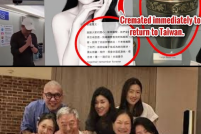 Barbie Hsu’s Sister Decides to Keep Her Ashes at Home Forever: The Three Big Goals and Secret Plans