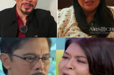 HINDI KA MAKAPANIWALA! Christopher de Leon, Nagbukas Tungkol Hiwalayan nila ni Andy Andolong