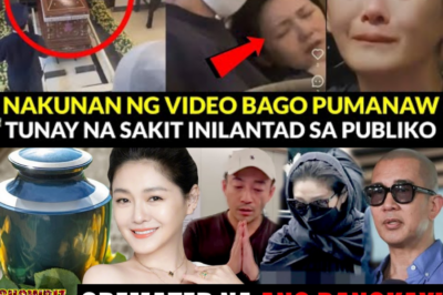 Barbie Hsu’s Sick Photos Leaked in Japan: Ex-Husband Wang Xiaofei Criticized for Pretense & Hypocrisy