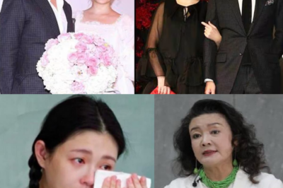 SHOCK: Barbie Hsu Describes Her Marriage as ‘Hell,’ Unveiling the Painful Truth About Her Ex-Husband!