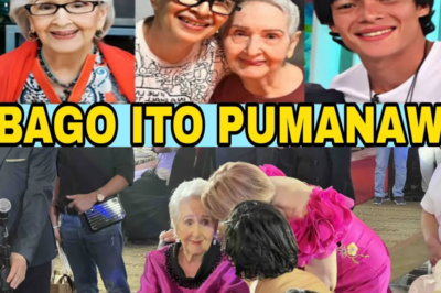 HULING HABILIN ni Gloria Romero BAGO ITO PUMANAW: May NAGING REBELASYON PA! (VIDEO)