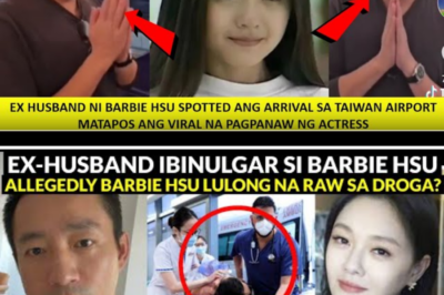 Ex-HUSBAND ni Barbie Hsu ISINIWALAT ang Tunay na CAUSE OF DEATH ni Barbie Hsu: Wan XiaoFei Nagsalita