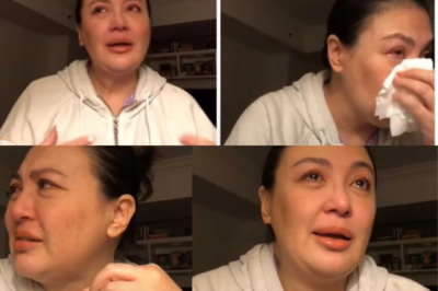 Sharon Cuneta Couldn’t Hold Back Her Tears Upon Seeing the Harsh Criticism Towards Frankie and KC – What Happened?