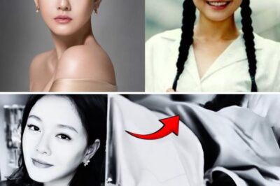 The truth about the cause of d*@th of Barbie Hsu, Taiwanese Star of Meteor Garden, has been revealed, pneumonia and flu were just lies…