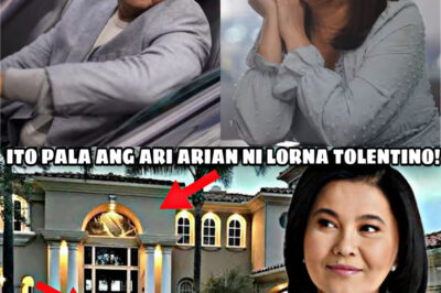 SHOCK: Sa wakas ay isiniwalat ng tagapagmana ni LORNA TOLENTINO ang kanyang napakalaking ASSET na ikinagulat ng lahat😱😱 (NG)