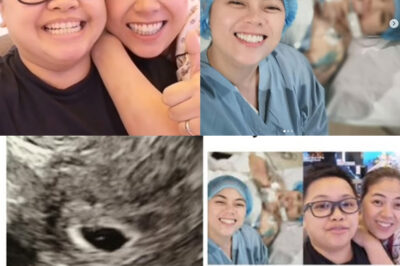 Ice Seguerra IBINUKO Kung Sinong Actor Ang Sperm Cell Donor Para sa Kanilang IVF Baby ni Liza Dino (NG)