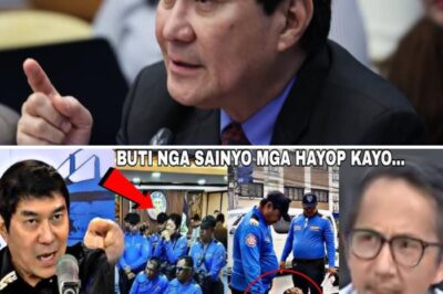 LTO BOHOL REMOVED FROM SERVICE! STAFF IN TEARS AFTER RAFFY TULFO’S OUTRAGE! 