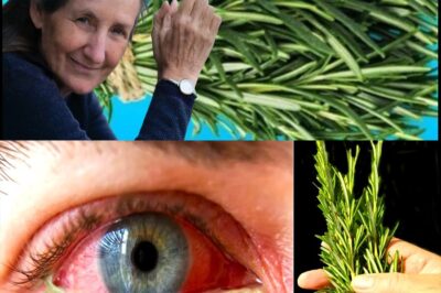 5 Herbs that Protect Eyes and Repair Vision: Polite members say thank you ☕ – Full recipe in the first c.o.m.m.e.n.t.(DG)