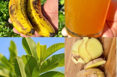 Doctors Won’t Want You to Drink This: It Cures Diabetes, High Blood Pressure, and Poor Circulation!